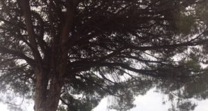 16/7/2017 L’AGENDA RITROVATA 21^ TAPPA BARCELLONA POZZO DI GOTTO (VV) – CAPO D’ORLANDO (ME)