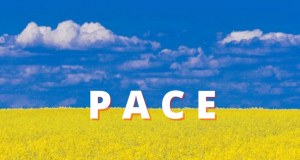 Stop war : solidarietà ai colleghi di Pravex Bank