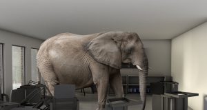 The Elephant in the Room