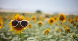 Sopravvivere (e brillare) a 40 gradi. Le 5 strategie anti-afa del Coordinamento Donne & Pari Opportunità UNISIN